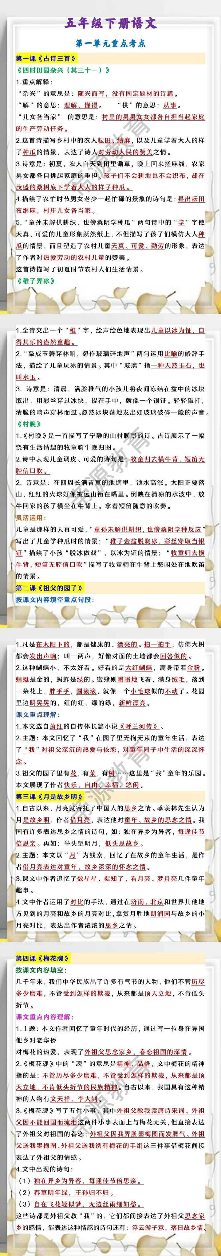 五年级下册语文 第一单元重点考点