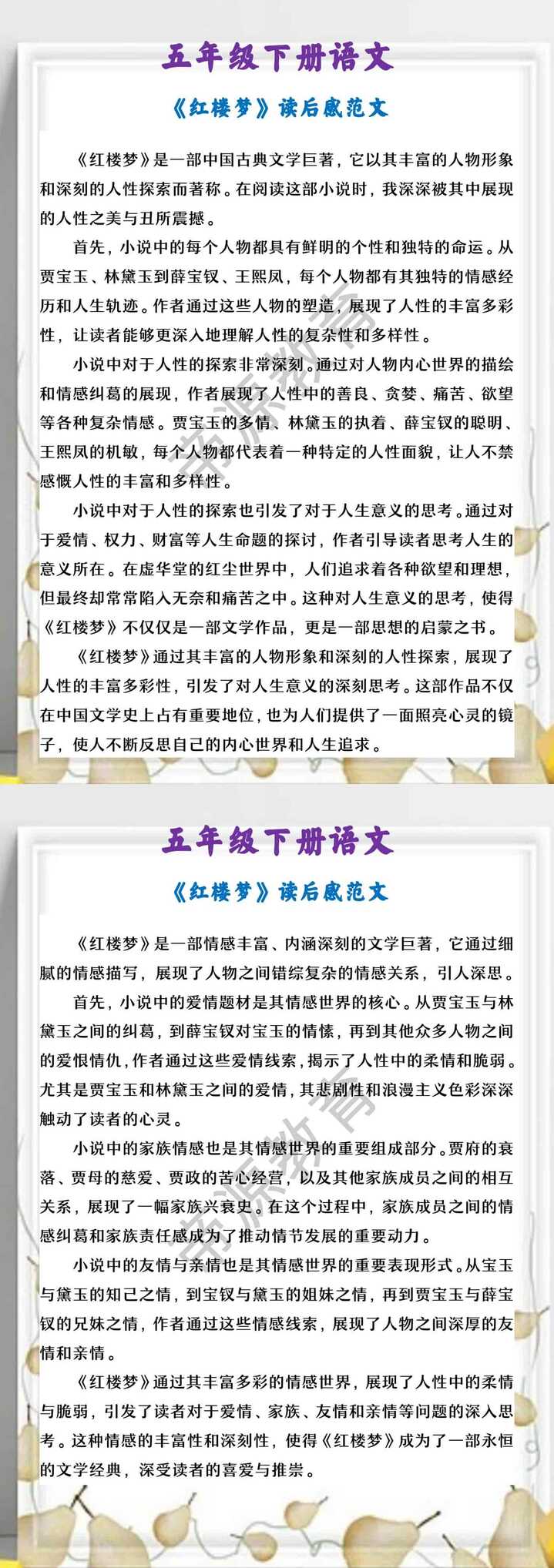 五年级下册语文 《红楼梦》读后感范文