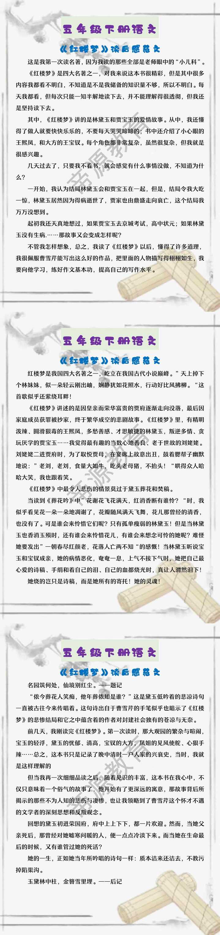 五年级下册语文 《红楼梦》读后感范文