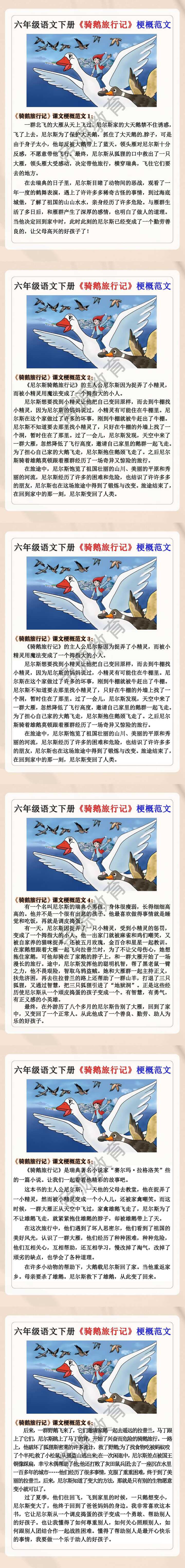 六年级语文下册《骑鹅旅行记》梗概范文
