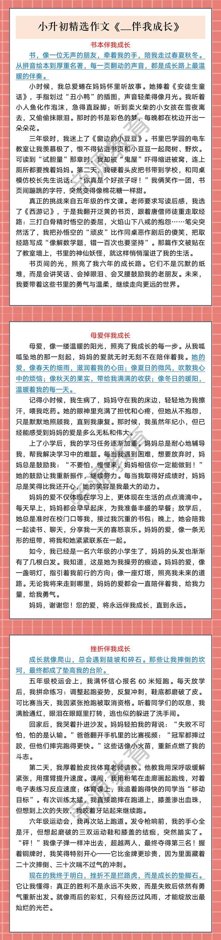 小升初精选作文《__伴我成长》