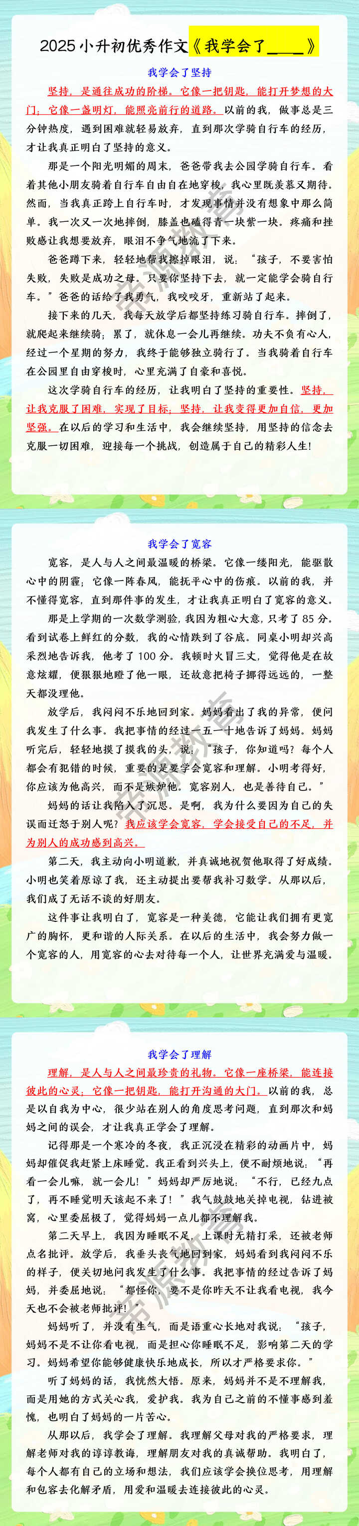 2025小升初优秀作文《我学会了_  _》