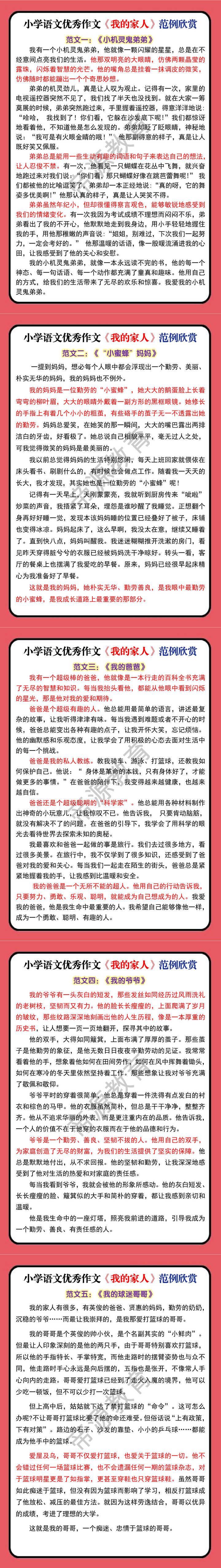 小学语文优秀作文《我的家人》范例欣赏