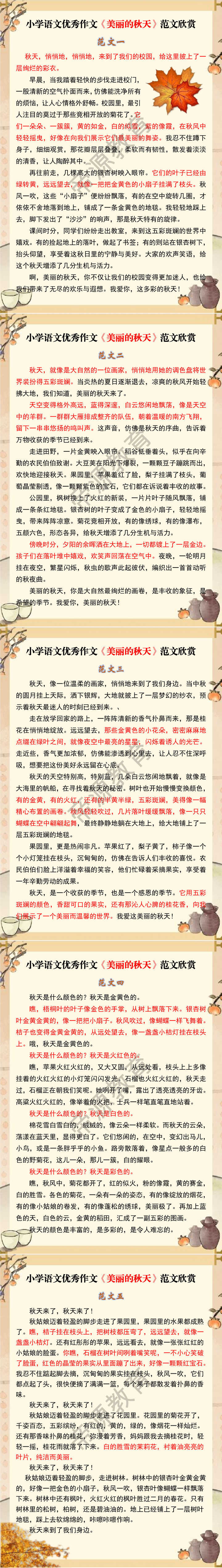 小学语文优秀作文《美丽的秋天》范文欣赏