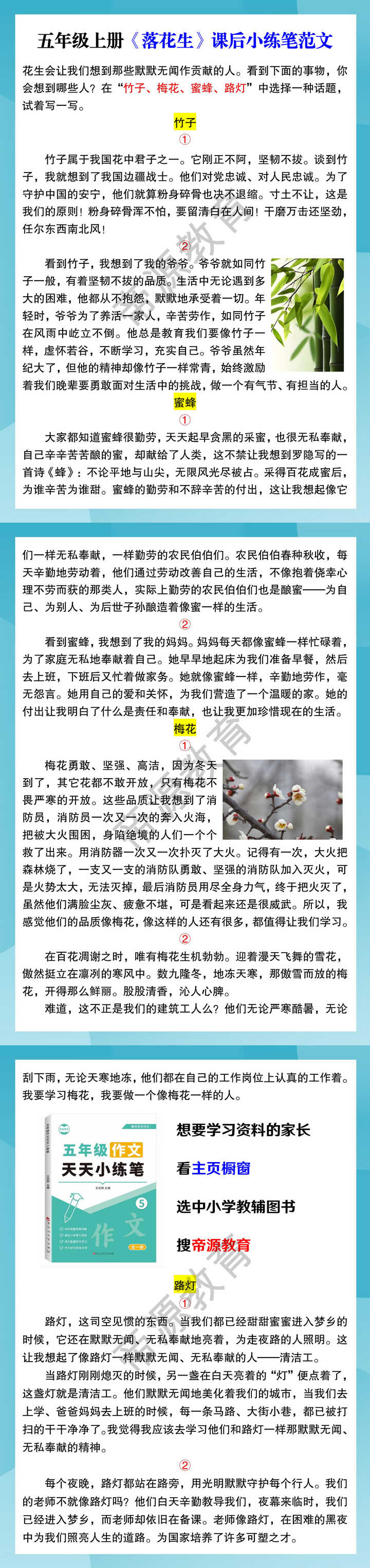 五年级上册《落花生》课后小练笔范文