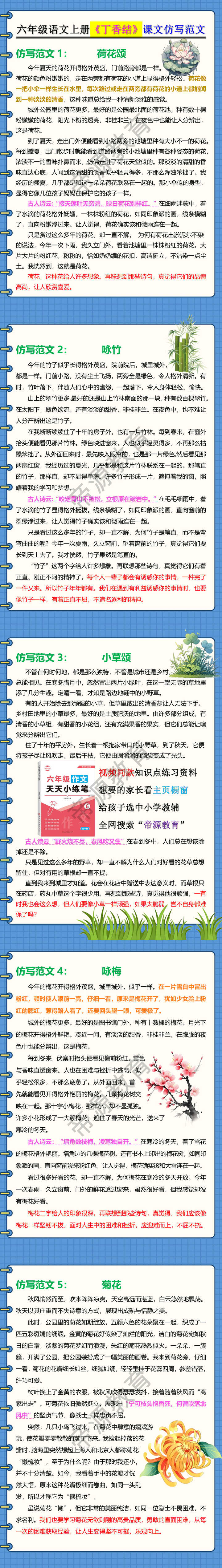 六年级语文上册《丁香结》课文仿写范文