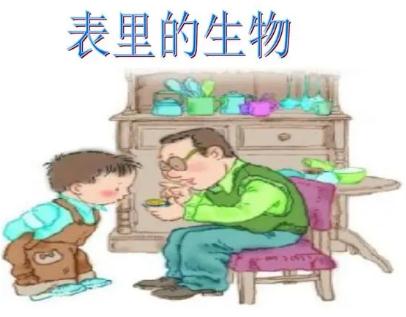 表里的生物