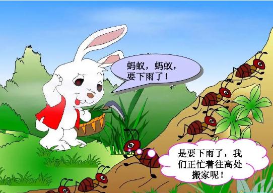 一下14课要下雨了课文解读随堂笔记