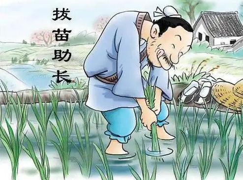 拔苗助长