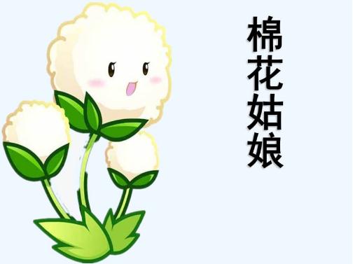 棉花姑娘课堂笔记