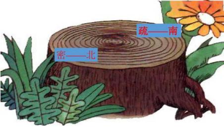 要是你在野外迷了路