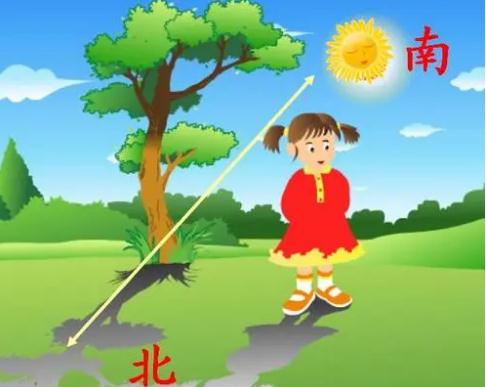 《要是你在野外迷了路》课堂备课笔记 