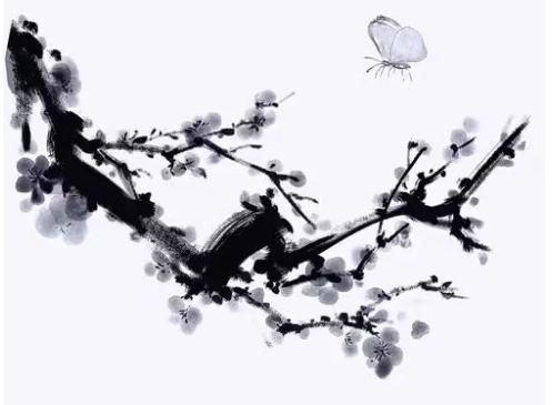 《墨梅》课堂备课笔记 