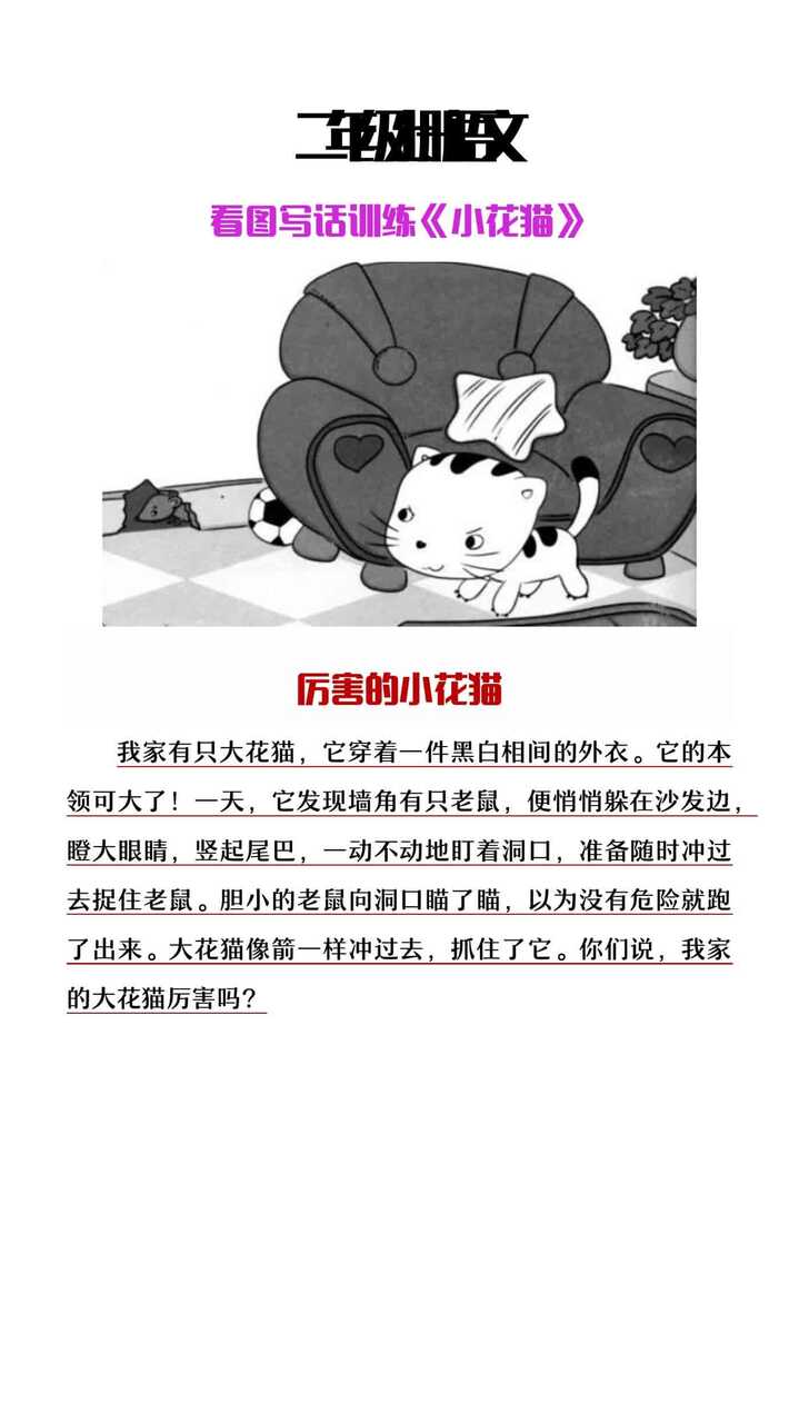 二年级上册语文看图写话训练《小花猫》范文