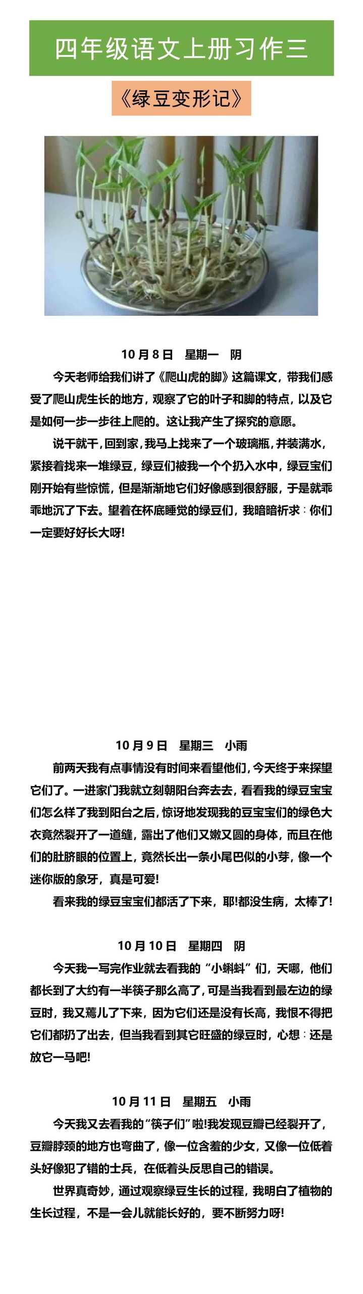 四年级语文上册习作三 《绿豆变形记》