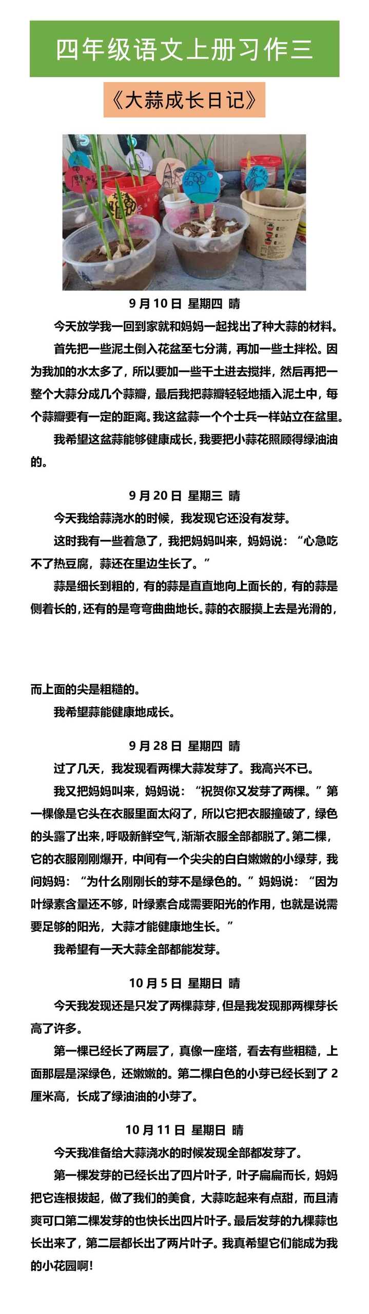 四年级语文上册习作三 《大蒜成长日记》