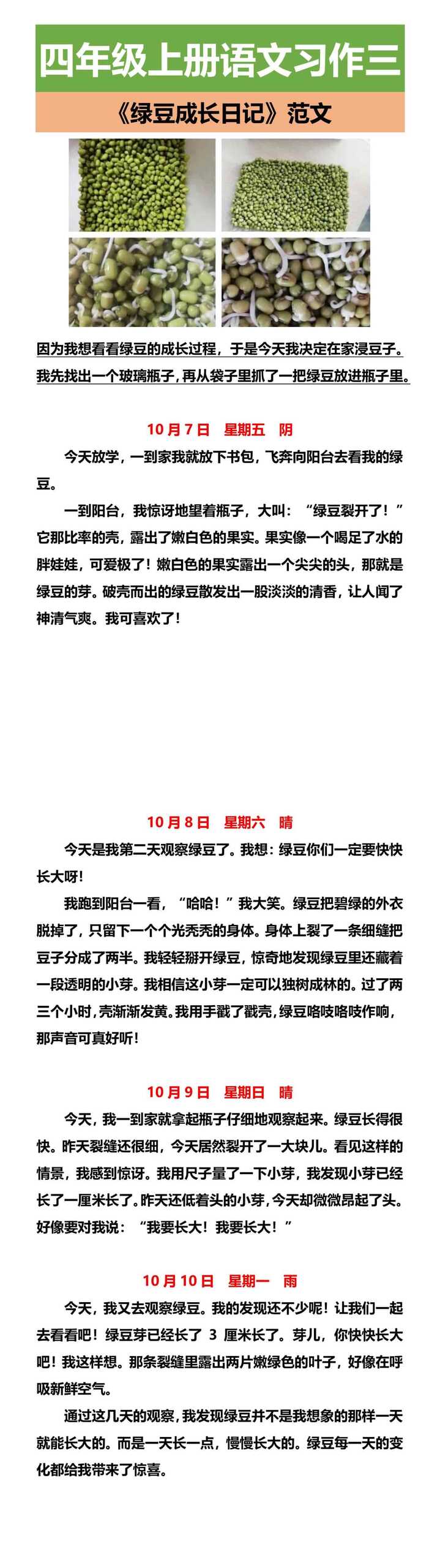 四年级上册语文习作三 《绿豆成长日记》范文