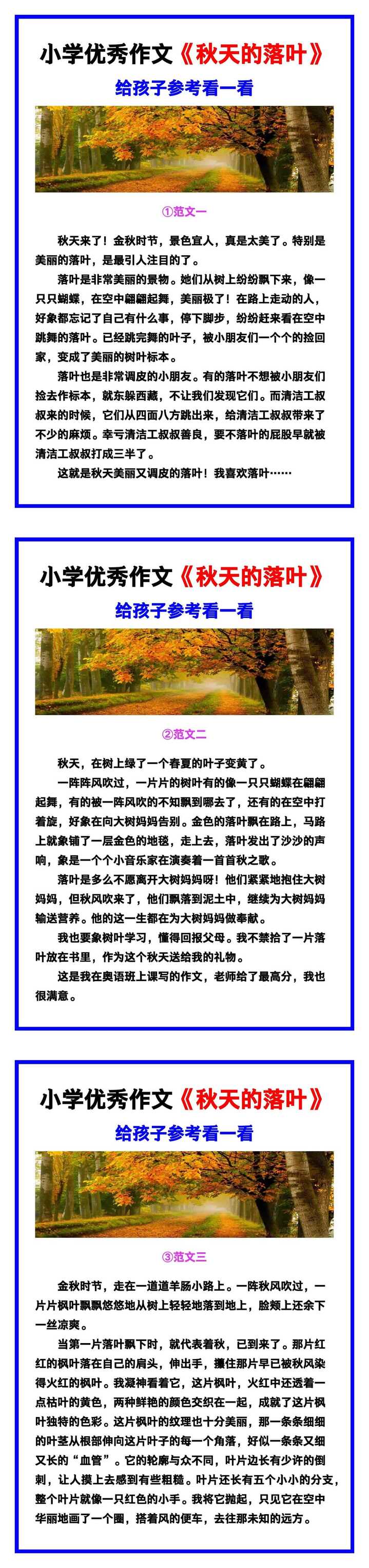 小学生优秀作文《秋天的落叶》范文汇总，替孩子保存！
