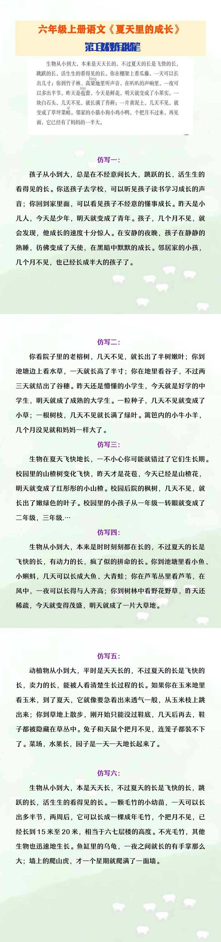 六年级上册语文《夏天里的成长》第二自然段仿写小练笔