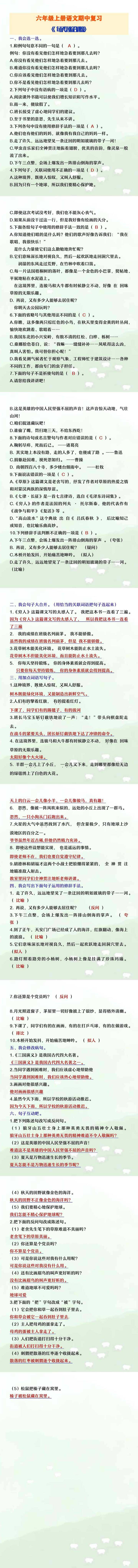 六年级上册语文句子专项训练