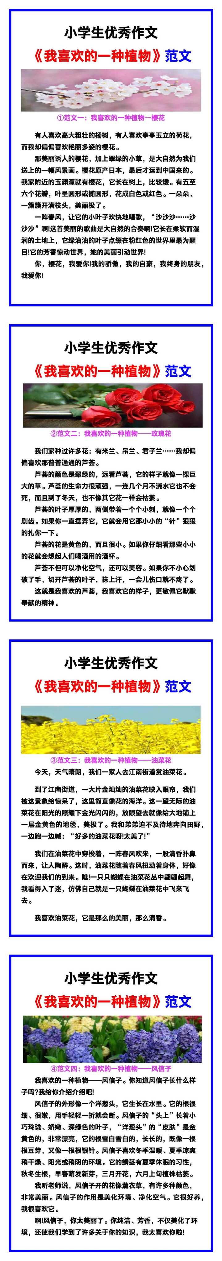 小学生优秀作文《我喜欢的一种植物》范文汇总，替孩子保存！