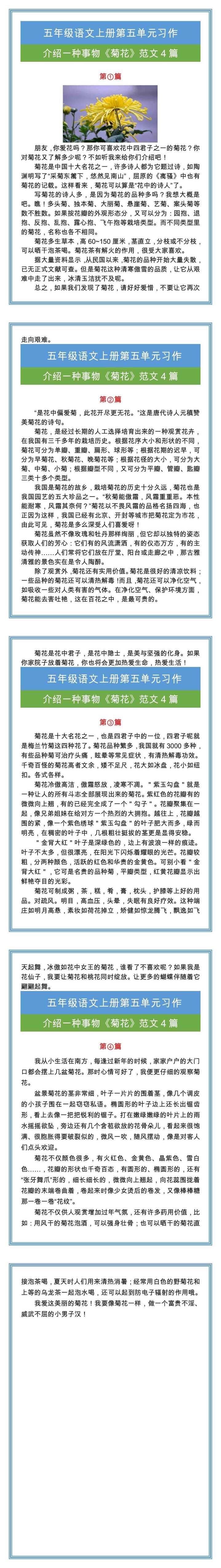 五年级必写作文，介绍一种事物菊花作文四篇！