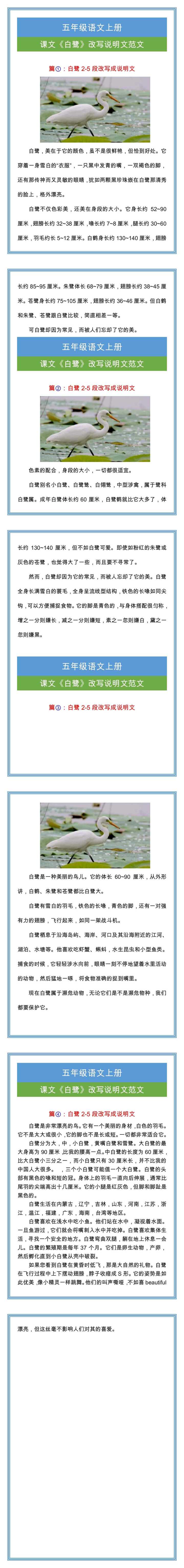五年级课文《白鹭》改写说明文范文大全