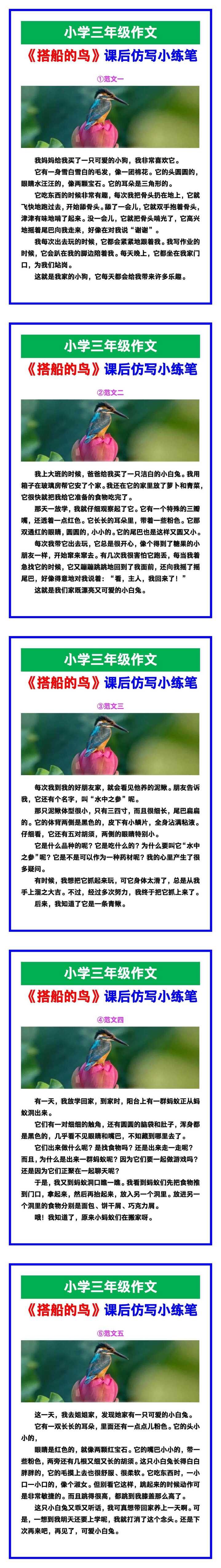 小学三年级作文《搭船的鸟》课后仿写小练笔范文素材，给孩子参考！