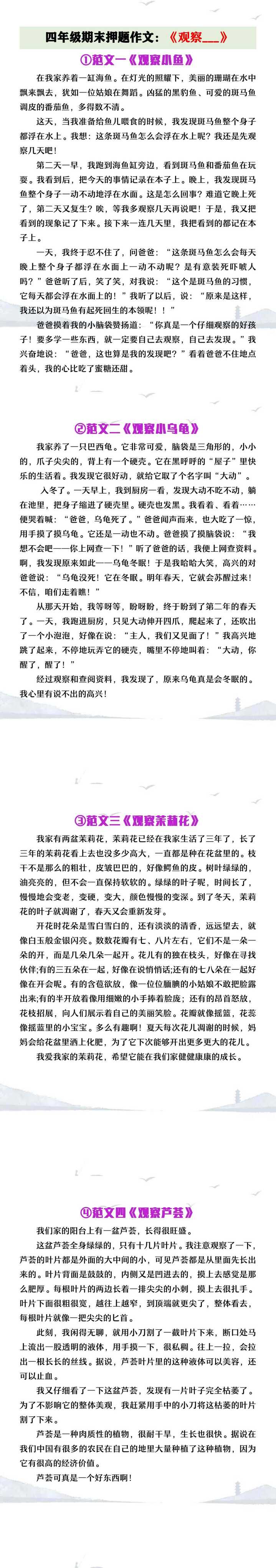四年级期末押题作文《观察___》