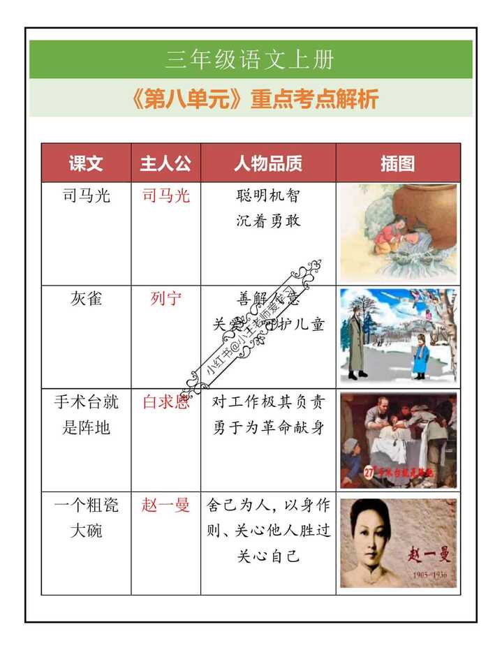 三年级语文上册《第八单元》重点考点解析