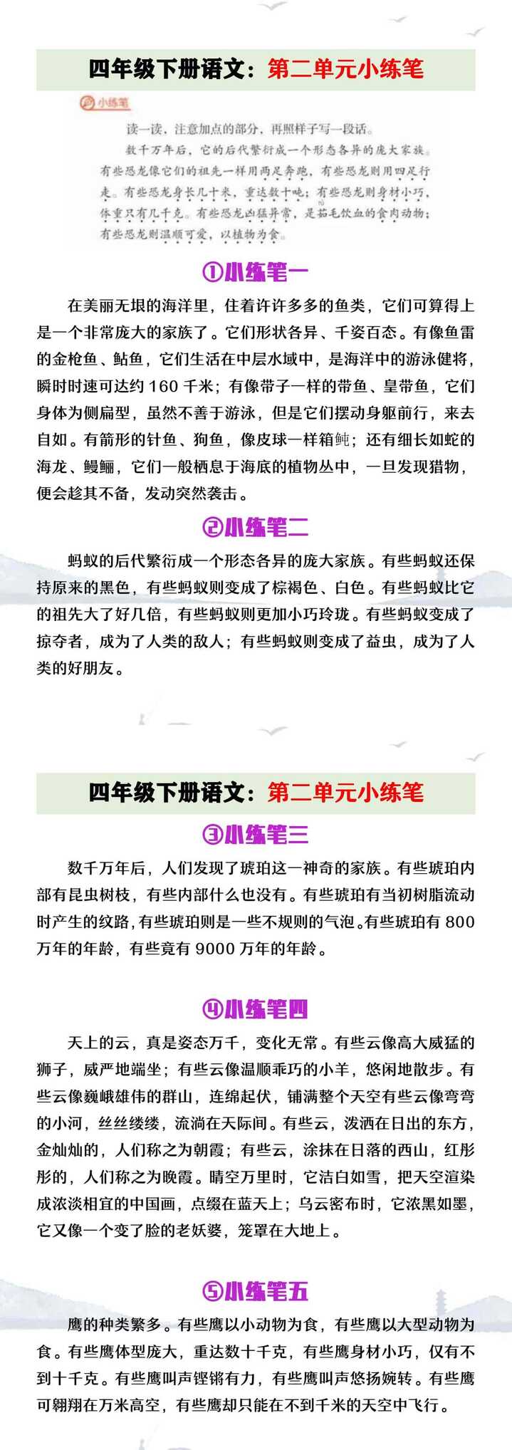 四年级下册语文第二单元小练笔