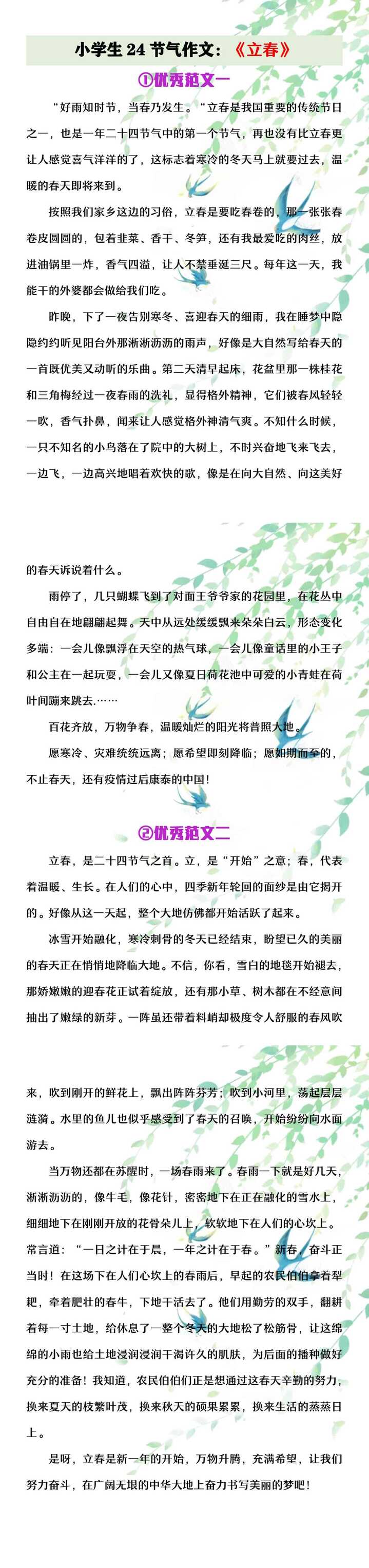 小学生24节气作文《立春》