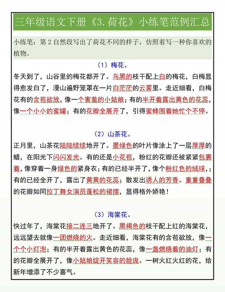 三年级语文下册《3.荷花》小练笔范例汇总