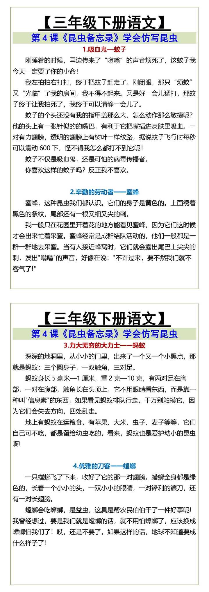 三年级下册语文《昆虫备忘录》学写昆虫
