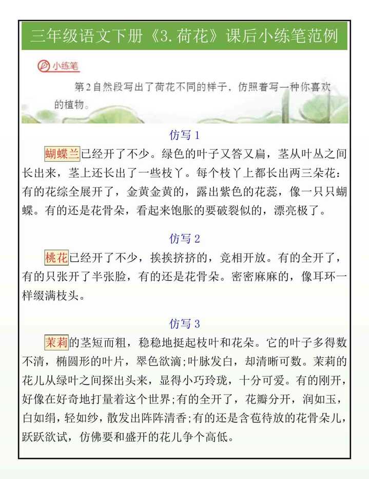 三年级语文下册《3.荷花》课后小练笔范例