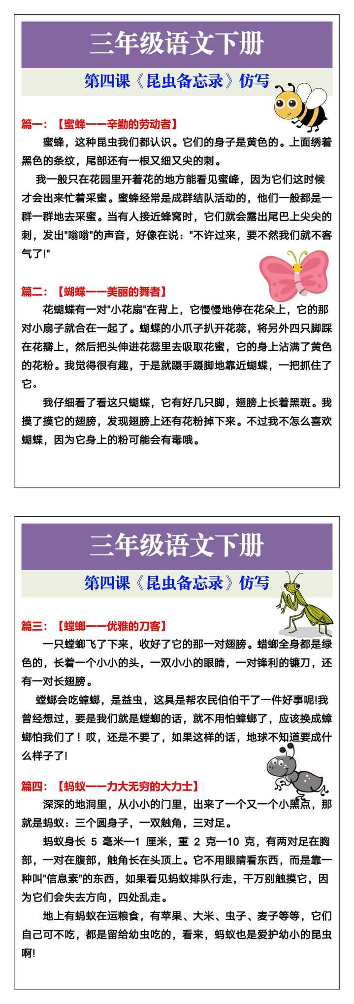 三年级语文下册第四课《昆虫备忘录》仿写