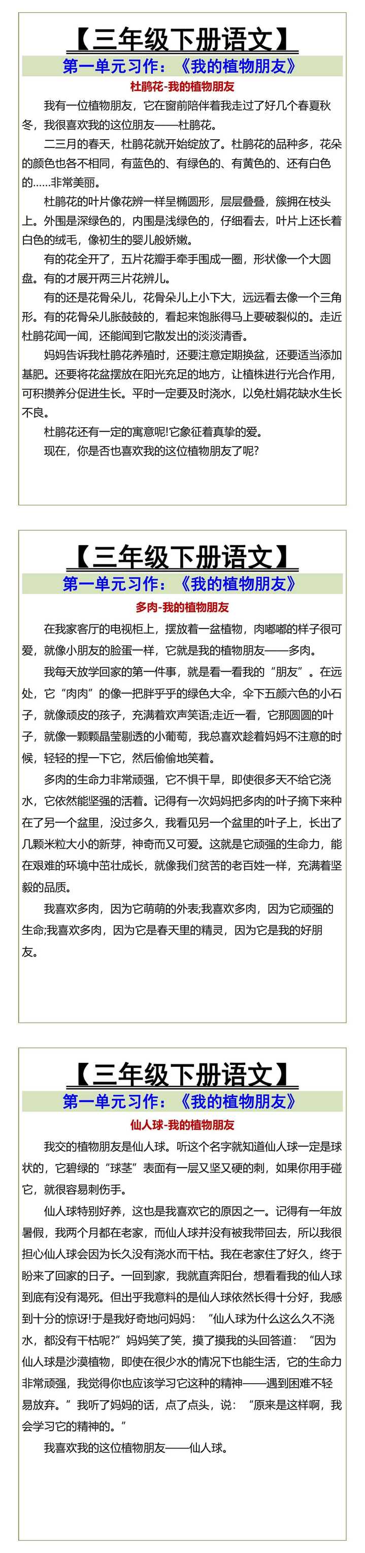 三年级下册语文 第一单元习作《我的植物朋友》
