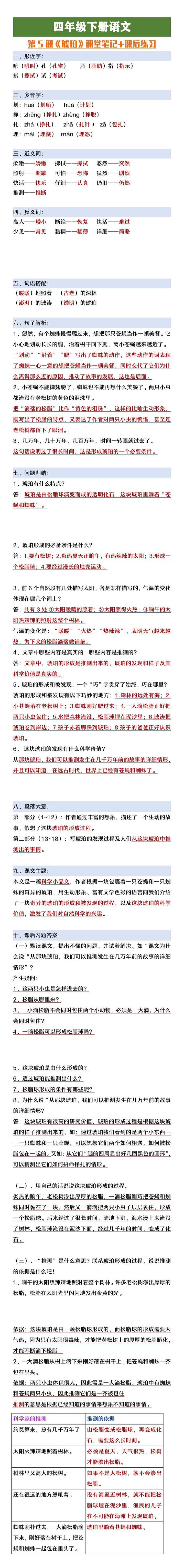 四年级下册语文《琥珀》课堂笔记+课后练习