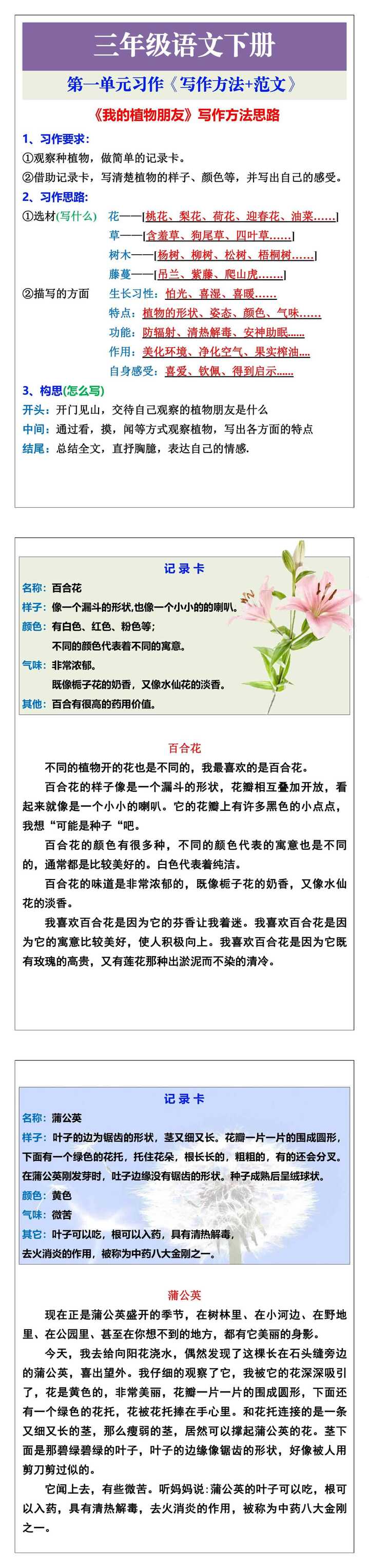 三年级语文下册第一单元习作《写作方法+范文》