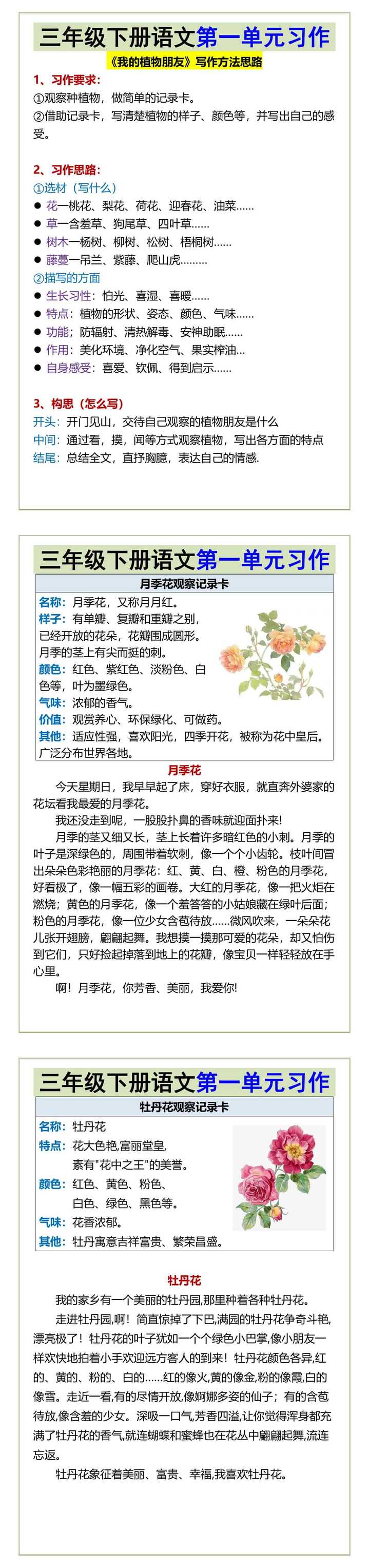 三年级下册语文第一单元习作