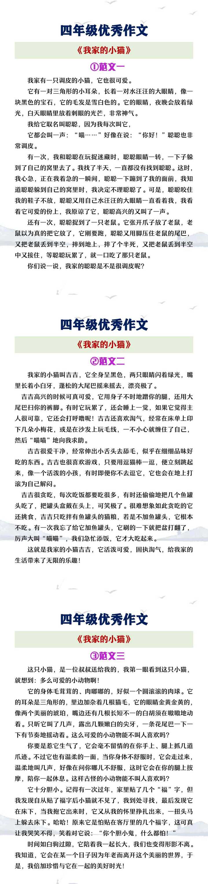 四年级优秀作文《我家的小猫》