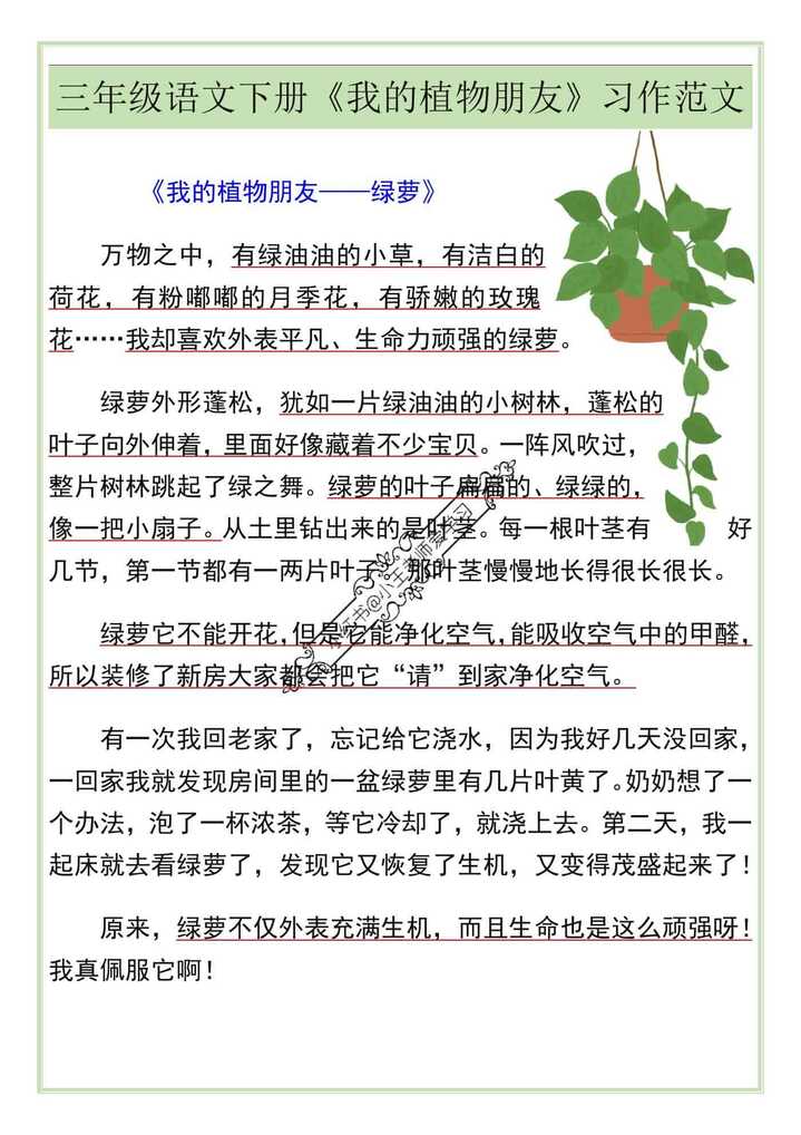 三年级语文下册《我的植物朋友》习作范文