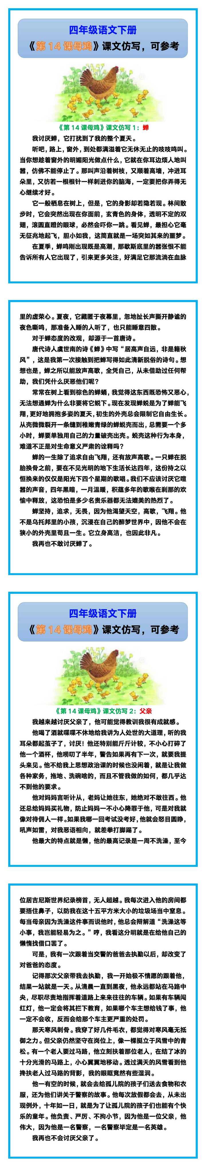 四年级语文下册《第14课母鸡》课文仿写，收藏可参考！