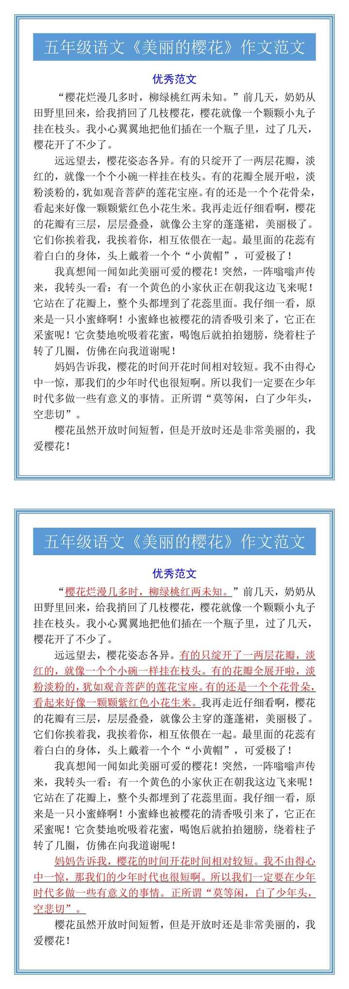 五年级语文《美丽的樱花》作文范文