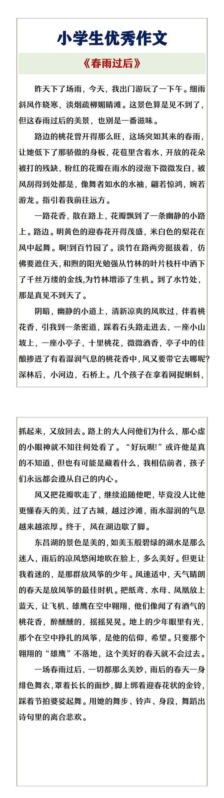 小学生优秀作文《春雨过后》