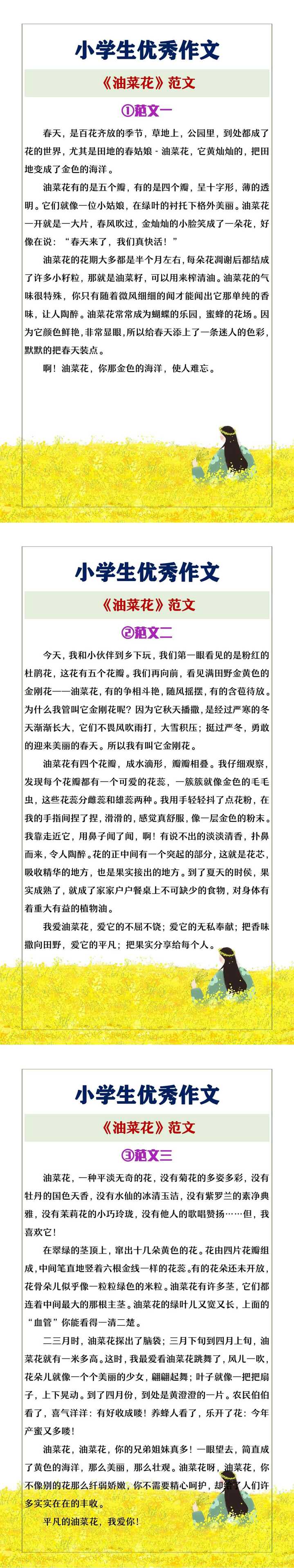 小学生优秀作文《油菜花》范文3篇