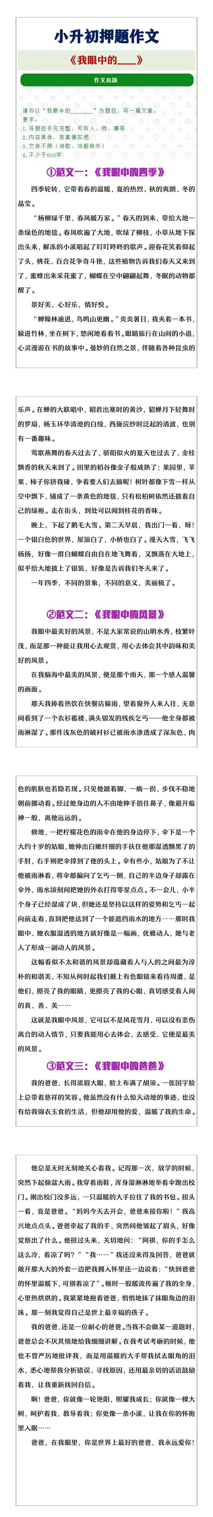 小升初押题作文《我眼中的___》