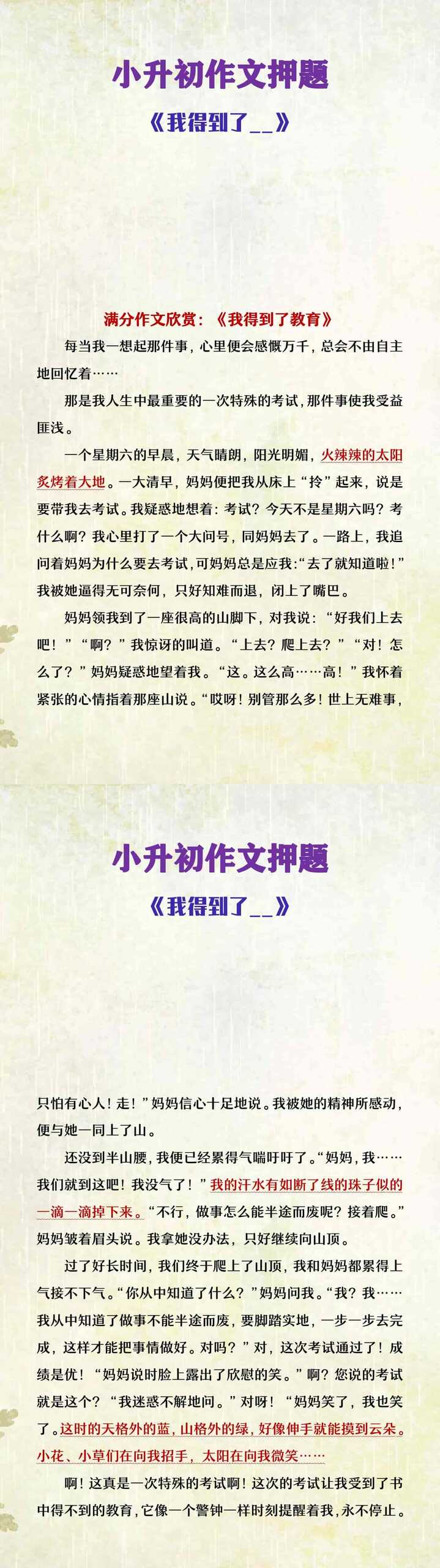 六年级下册语文小升初作文押题《我得到了 _》