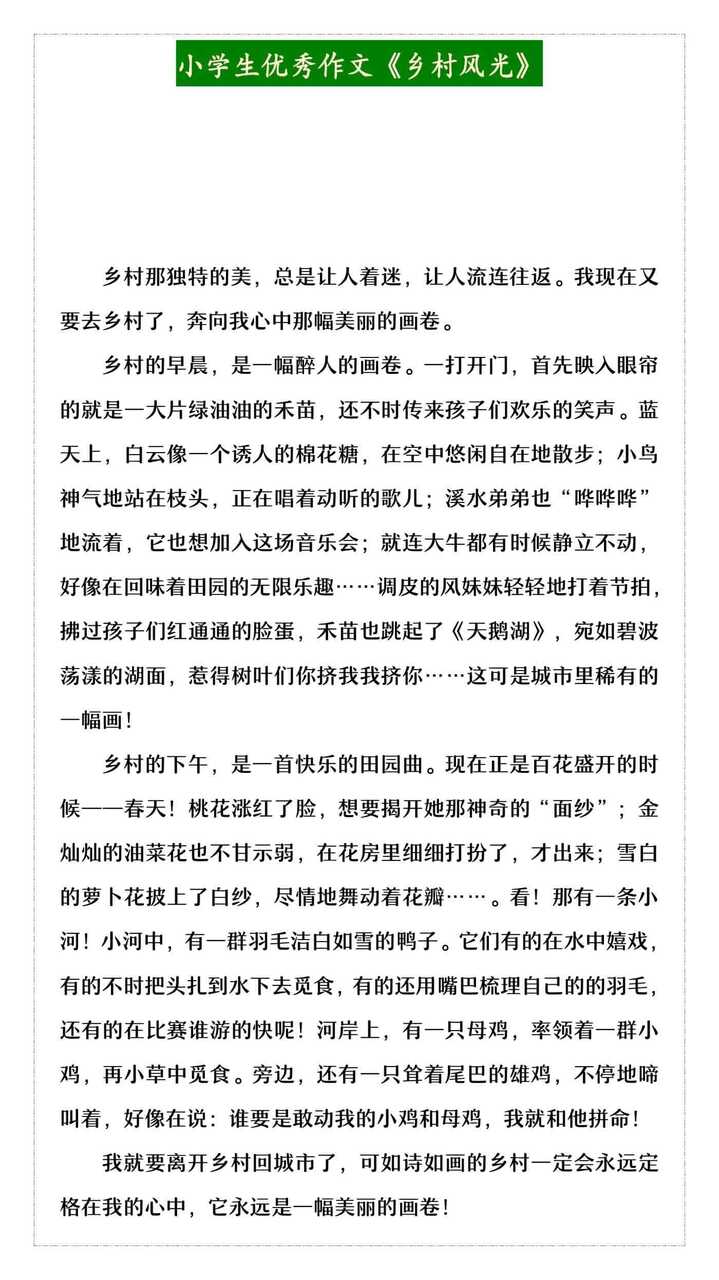 小学生优秀作文《乡村风光》