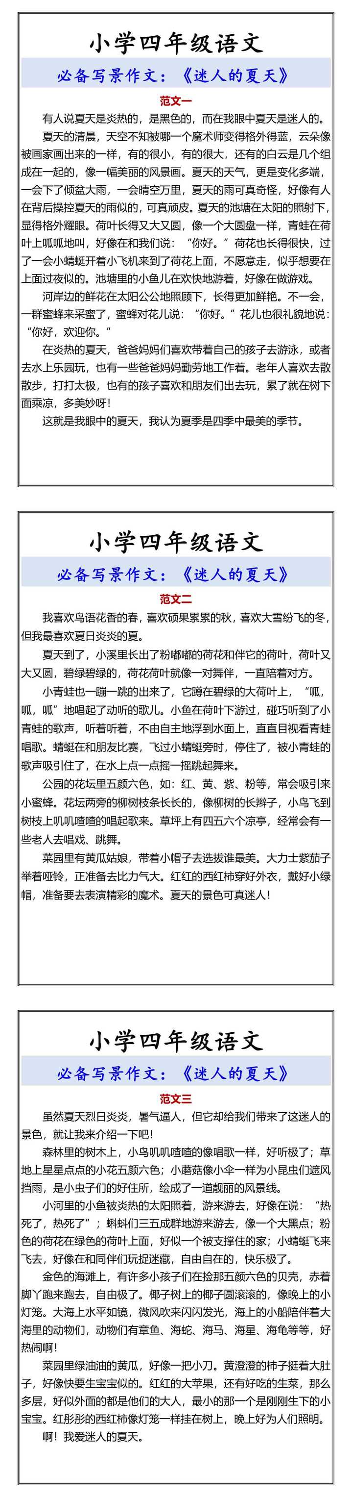 小学四年级语文《迷人的夏天》